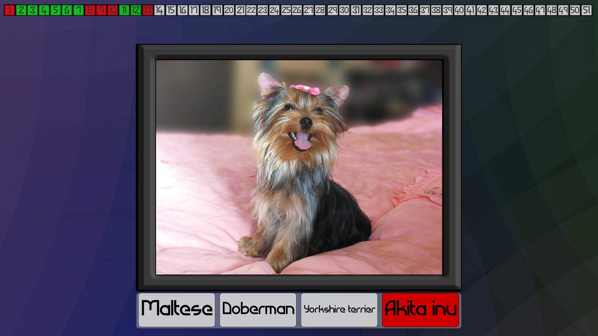 Test your knowledge: Dogs screenshot 3