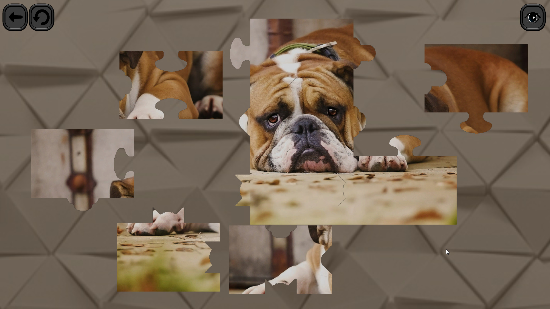 Puzzles for smart: Dogs screenshot 2
