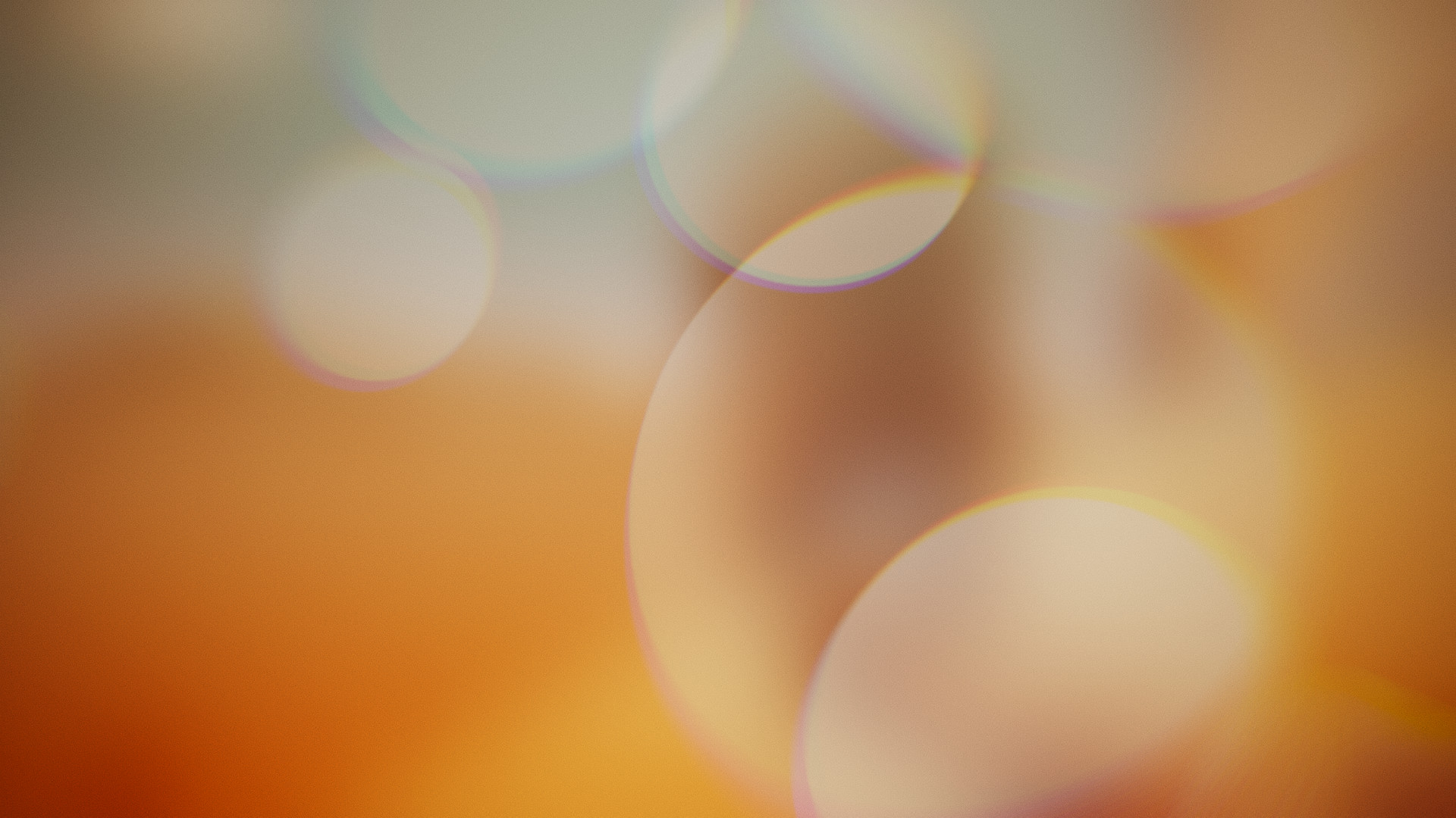 morphe screenshot 5