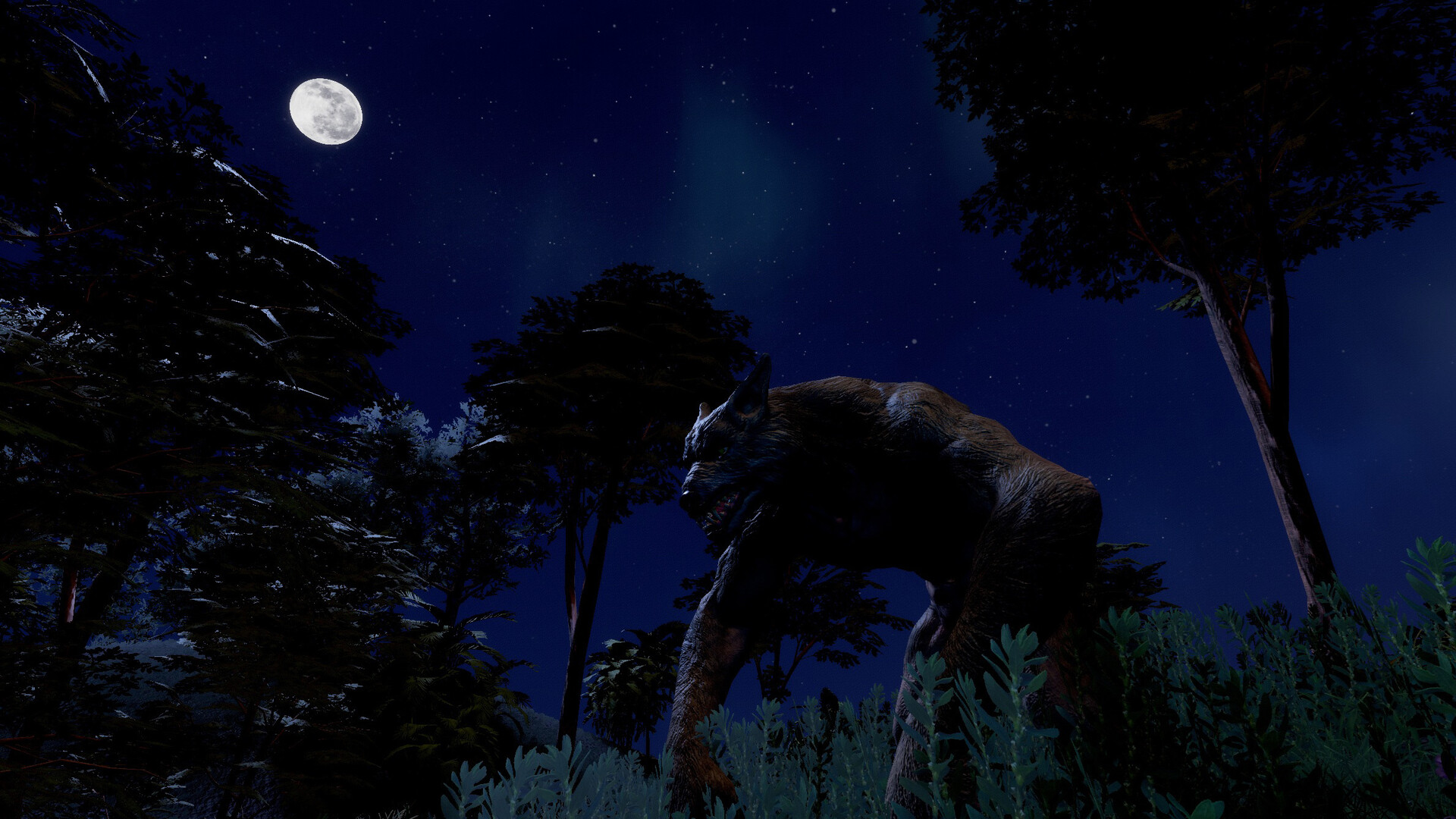 Trials of Wilderness screenshot 9