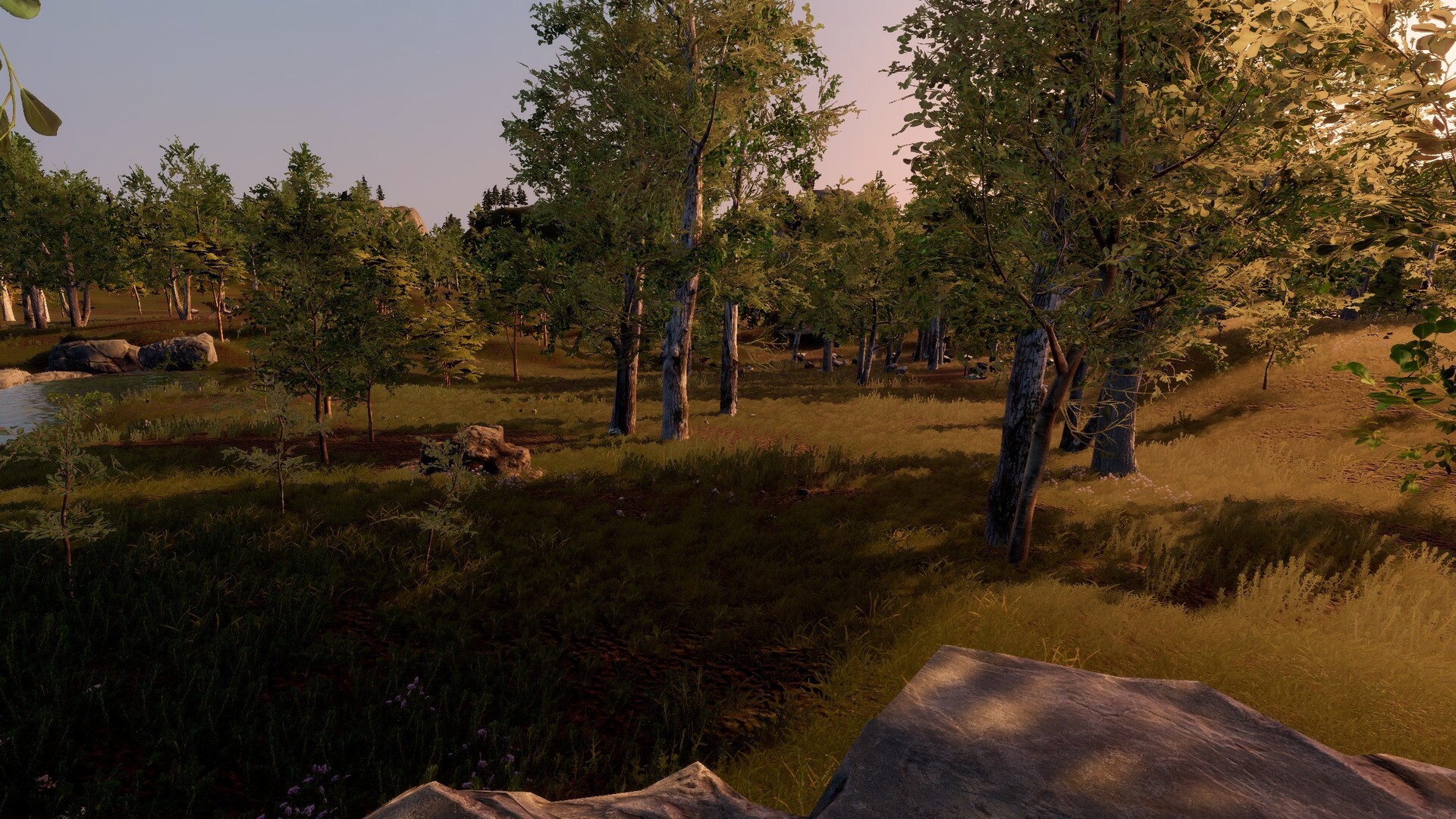Trials of Wilderness screenshot 8