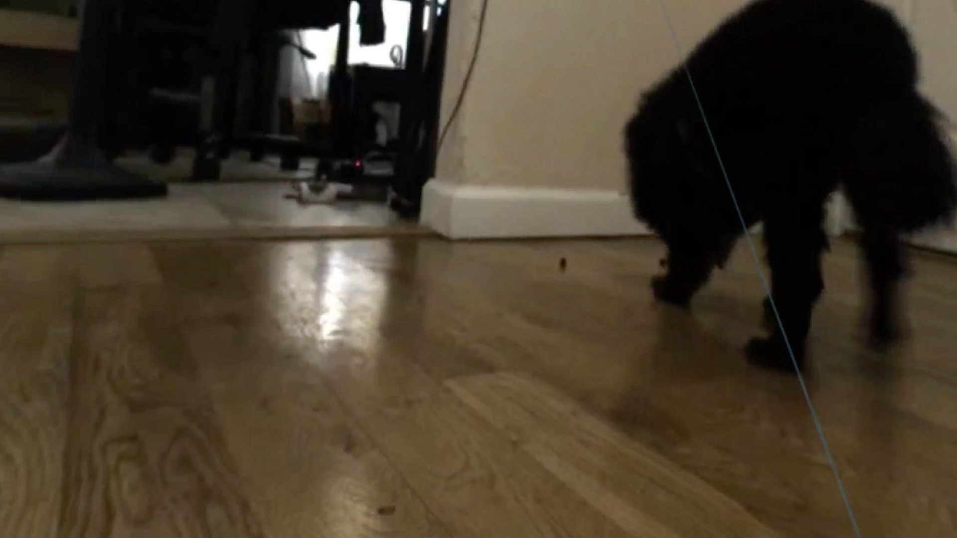 GonzoVR screenshot 4