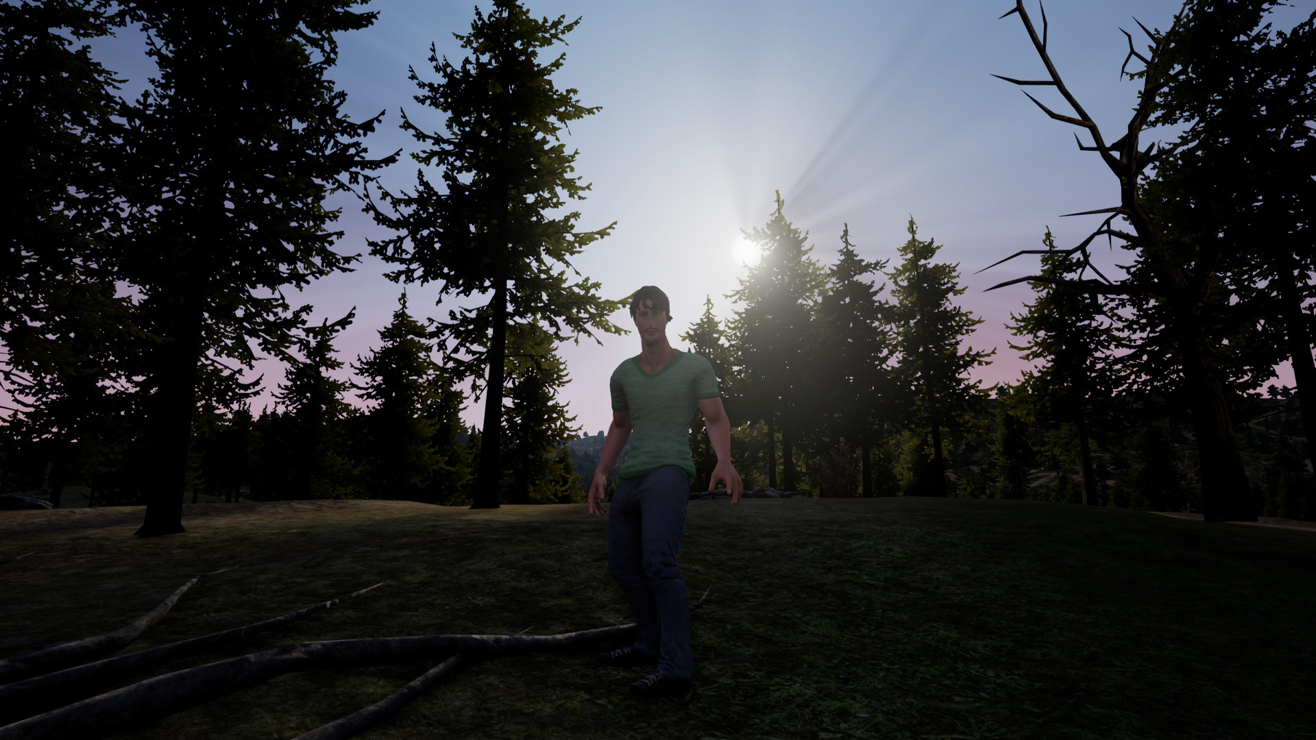 Strange Encounter screenshot 3