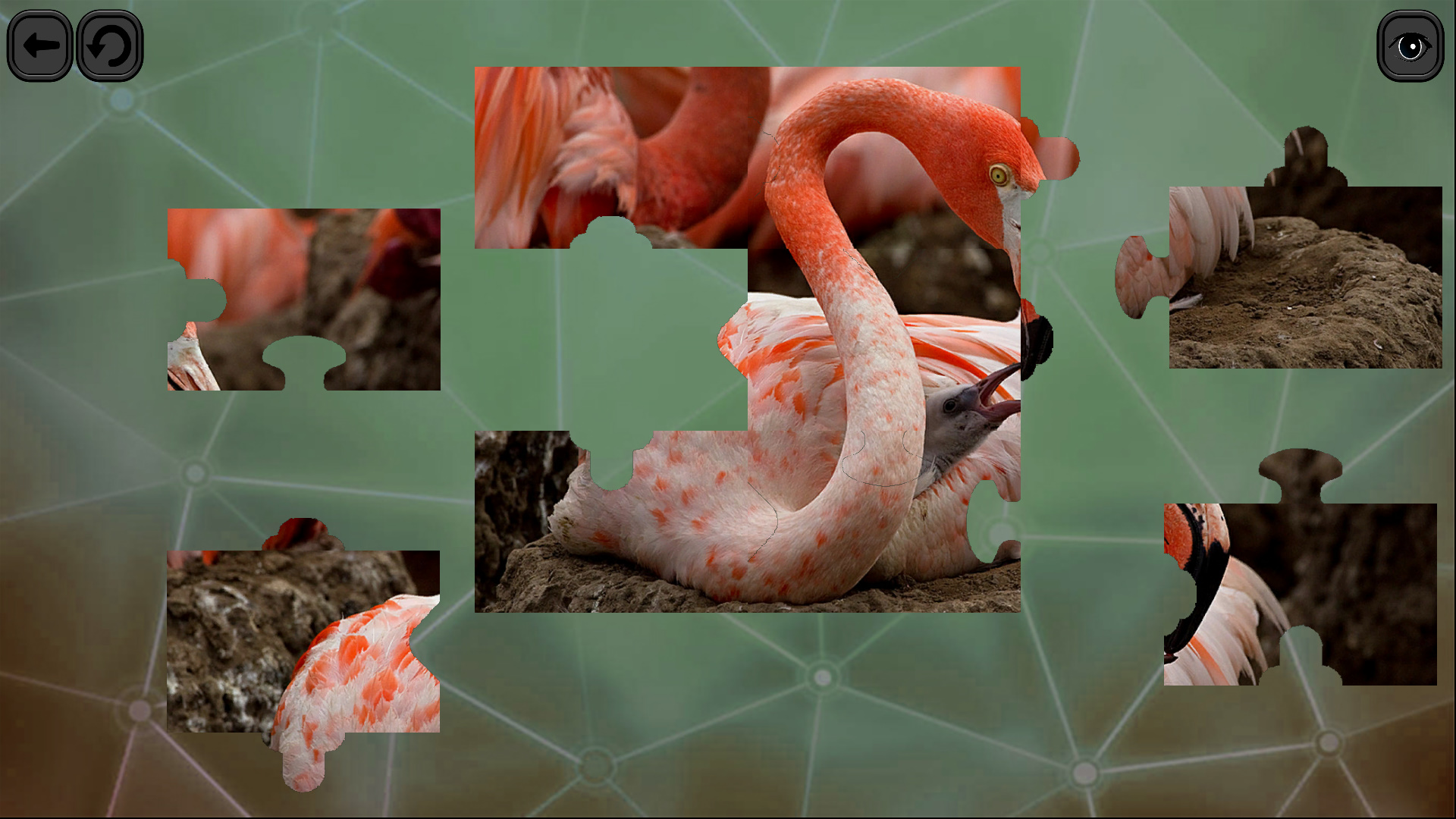 Puzzles for smart: Birds screenshot 3