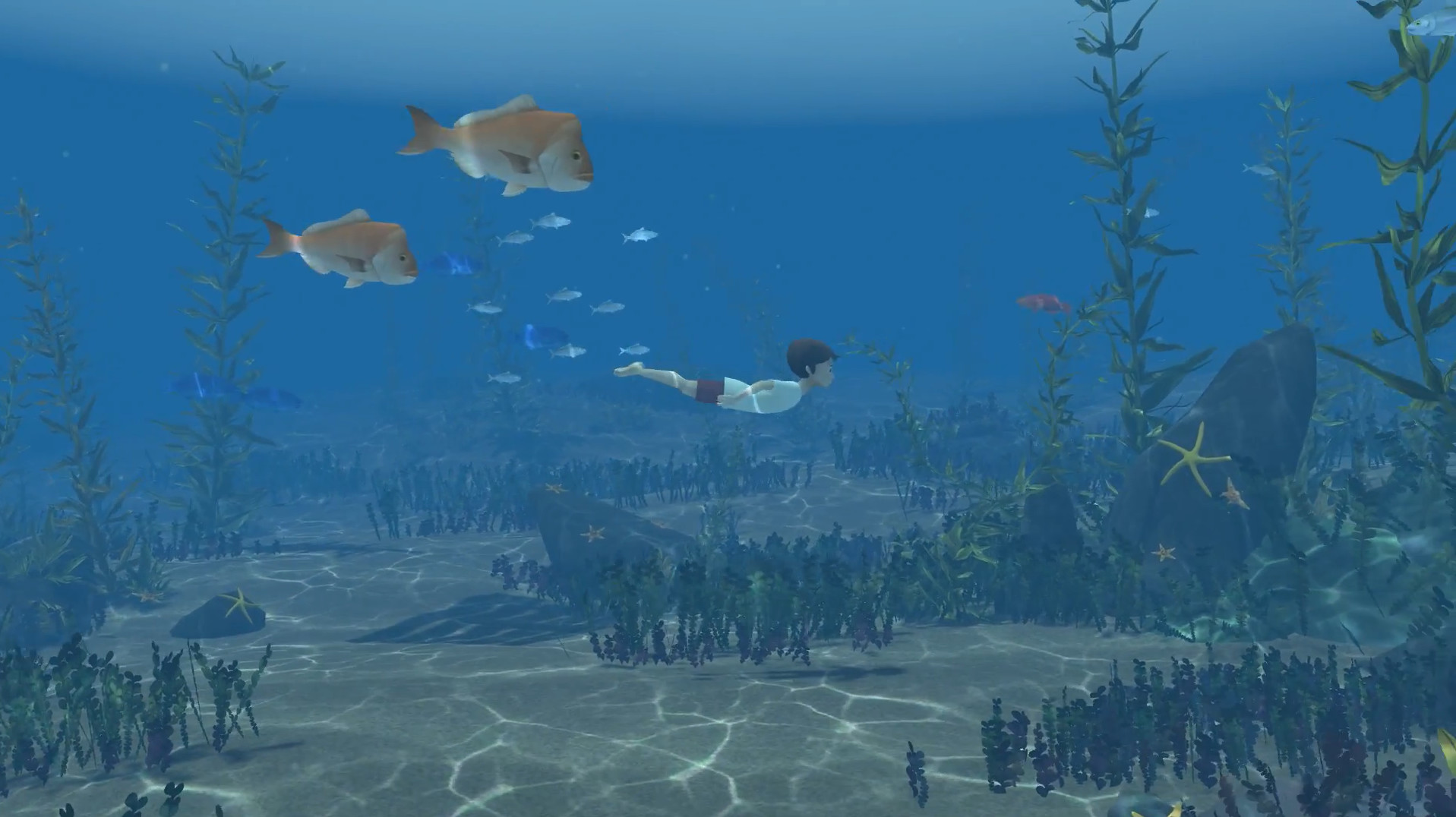 Storm Boy screenshot 1