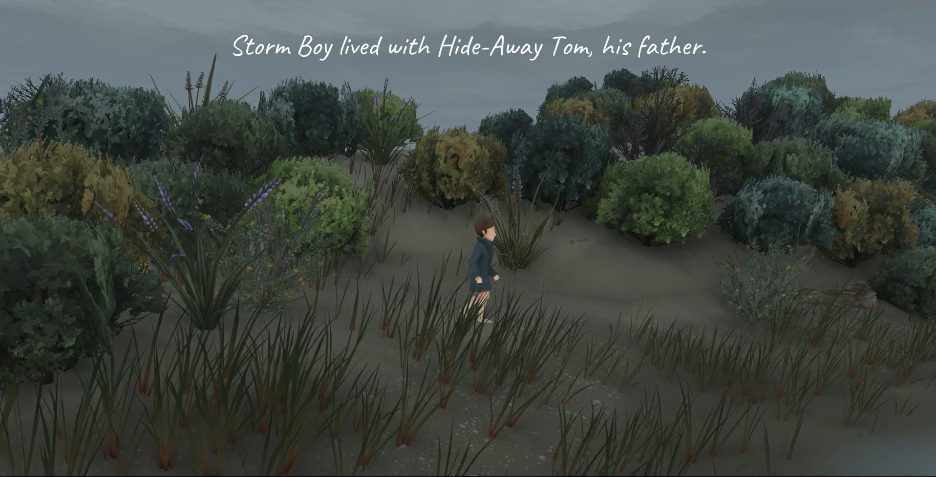 Storm Boy screenshot 2