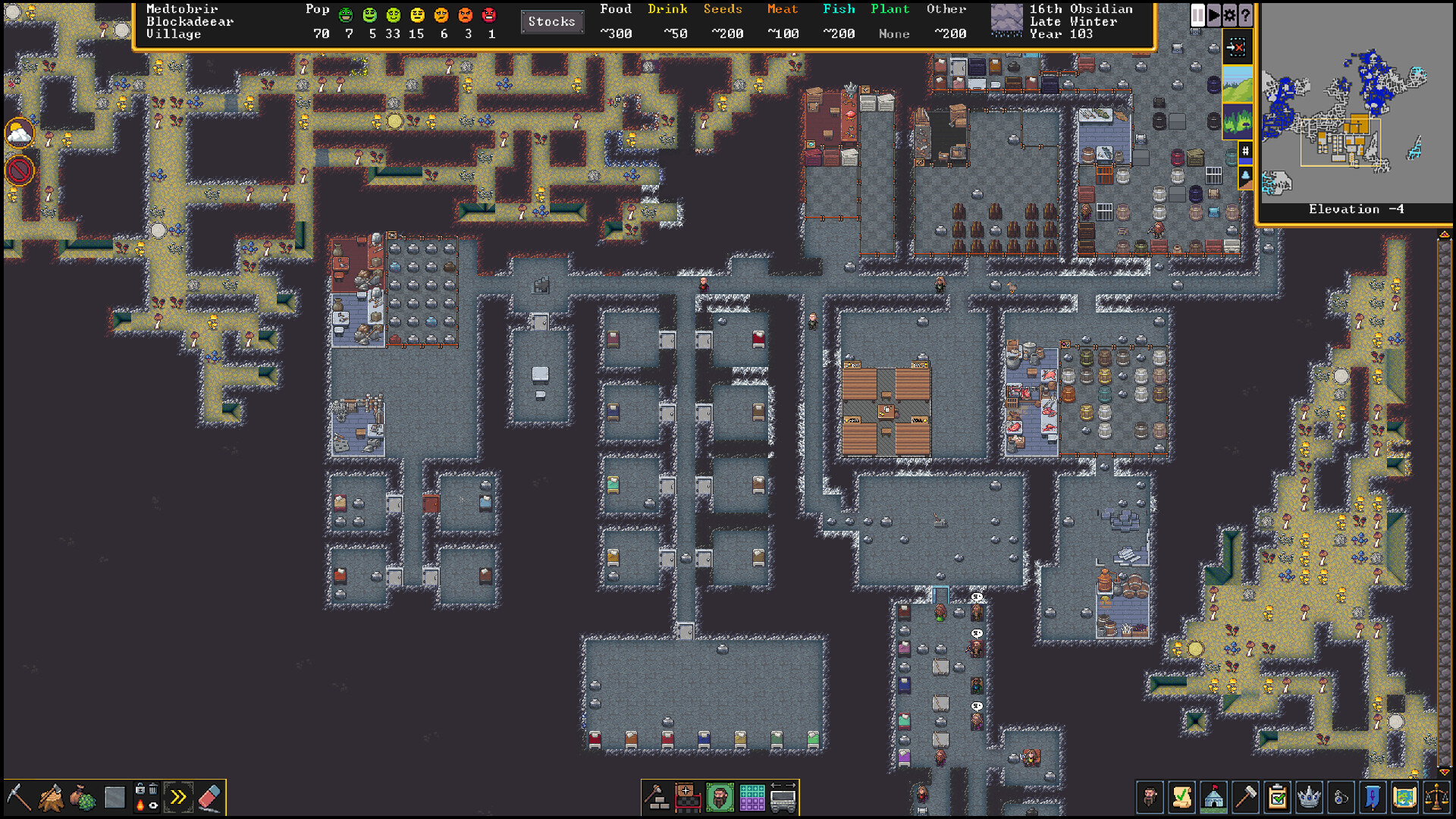 Dwarf Fortress screenshot 11