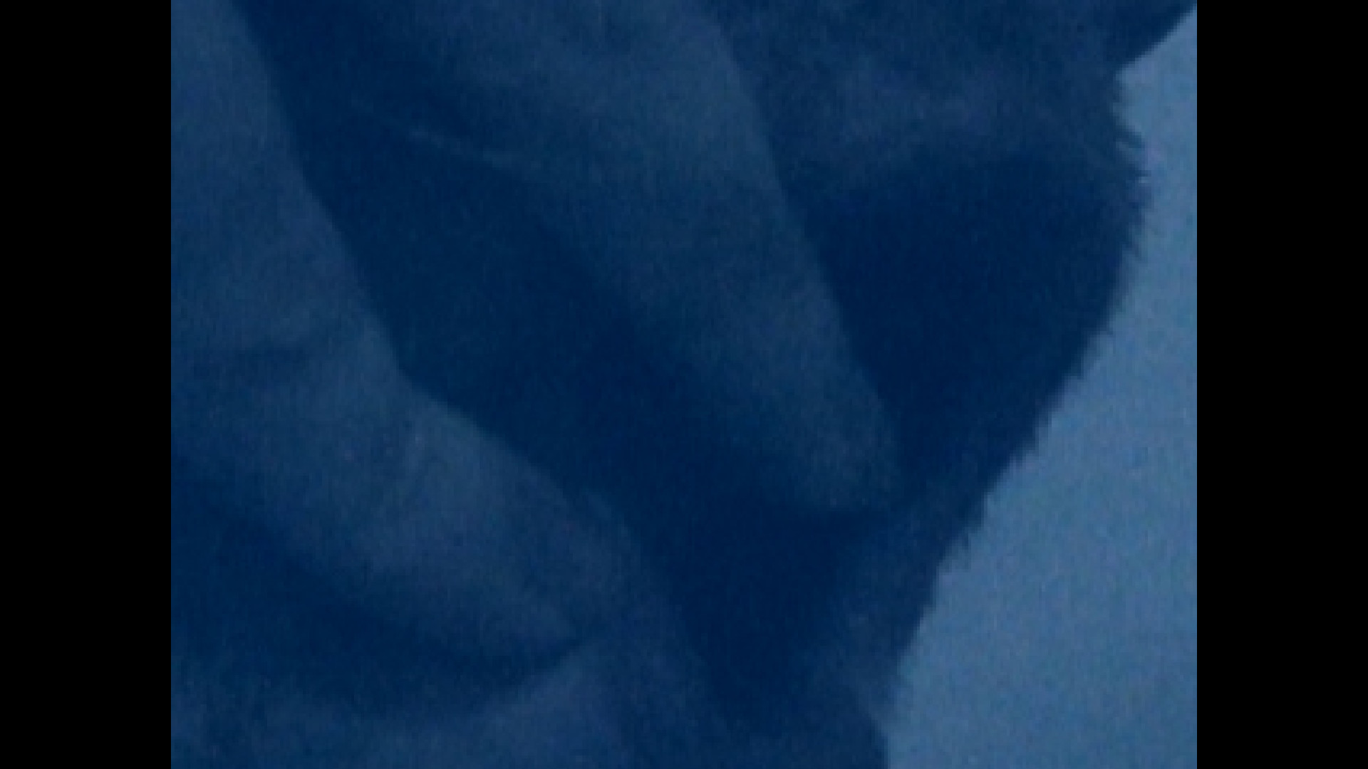 HORSE screenshot 6