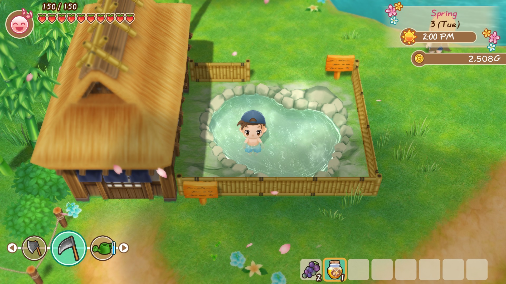 STORY OF SEASONS: Friends of Mineral Town screenshot 10