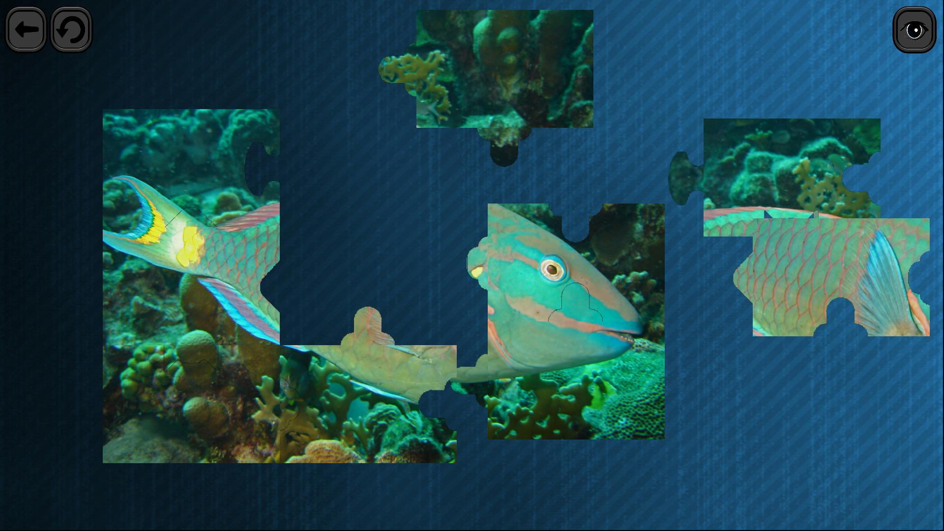 Puzzles for smart: Underwater Kingdom screenshot 1